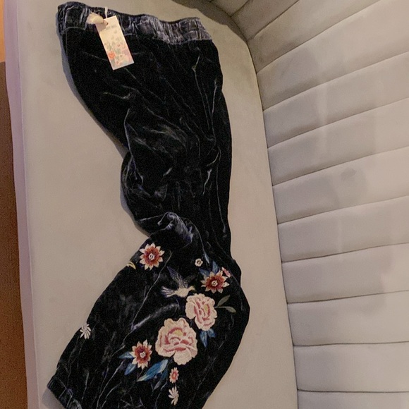 Velvet embroidered jogger - Picture 1 of 7